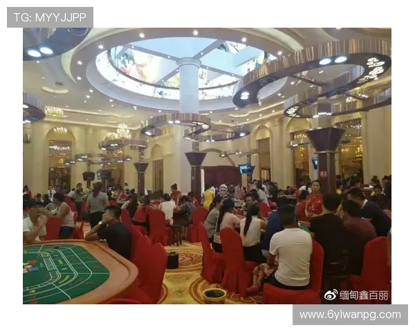 探索百胜鑫百利24的独特魅力与价值