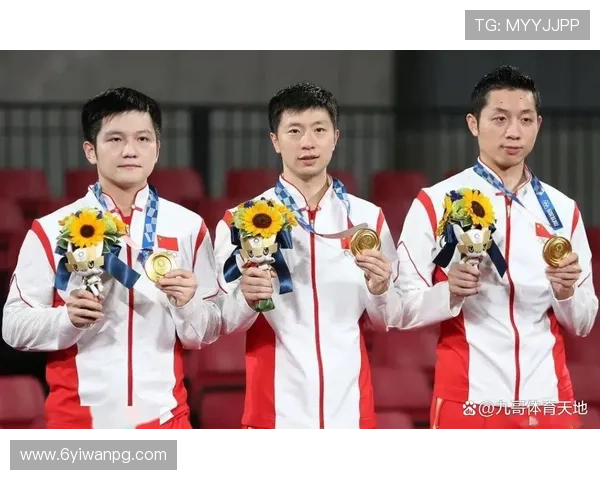 2024年夏奥会比赛项目全面解析与介绍